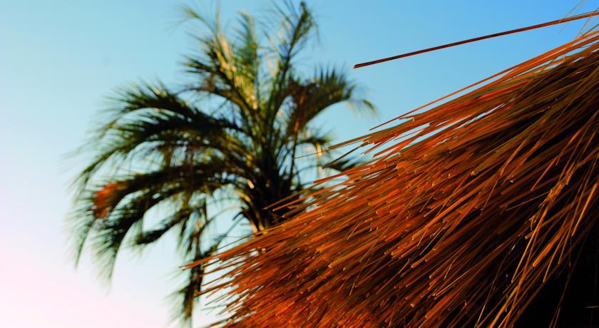 Vila Tio Tom Punta del Este Pokoj fotografie
